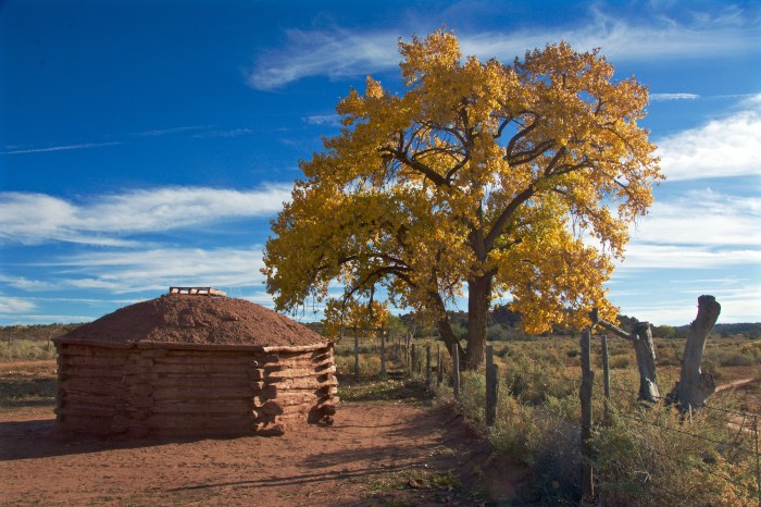 Hogan at the Trading Post