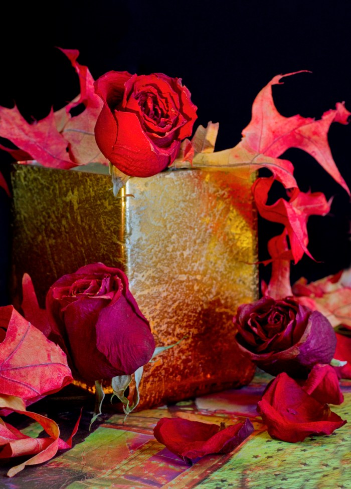 Last Roses of Summer5712